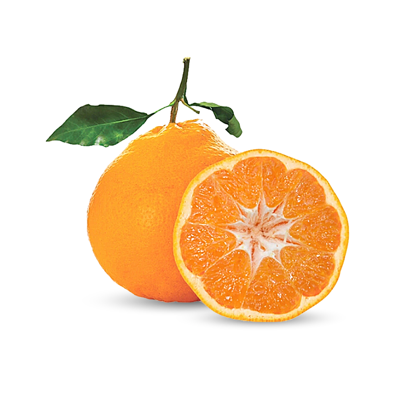 upload/20240531112518.png