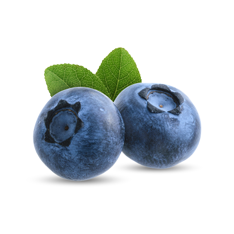 upload/20240531112621.png